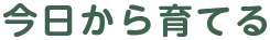 今日から育てる