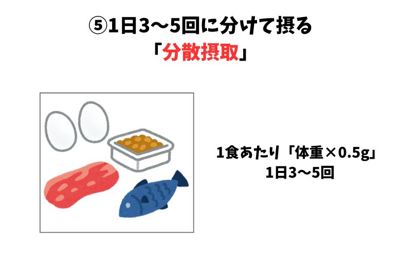 ⑤1日3~5回に分けて摂る「分散摂取」